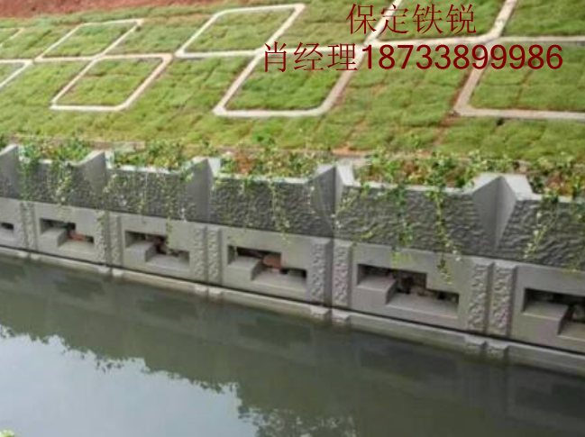 ˮ����̬����ָ����Ϊ��ֹ�����ܳ�ˢ���������������ĸ�����������ֲ��ͳ�ơ���ַ���ںӶΣ��Ӱ��İ�������ӭ��ˮ����ˢ����ʹ�Ӱ����ϵ�̮����