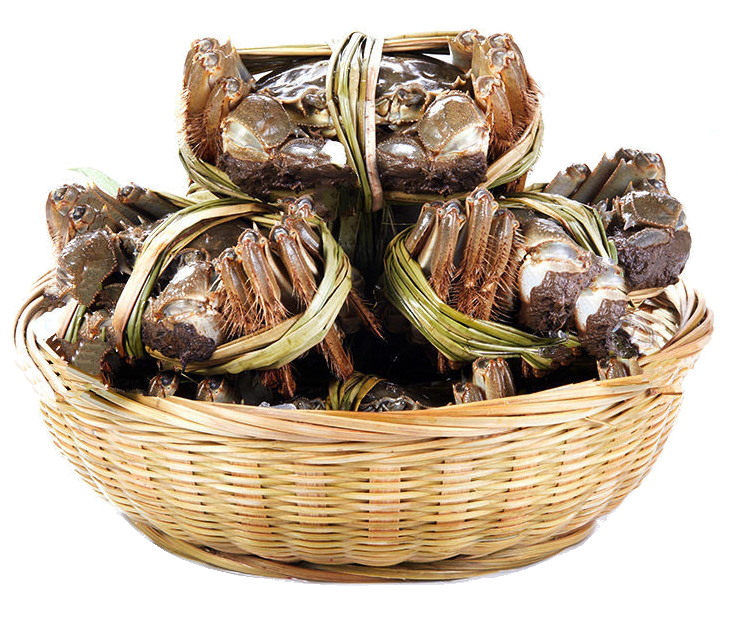 �˻���բз���ξ��У�����ǡ��׶ǡ���צ����ë�����������㡱���ص㣬����Ʒ�ʾ��У���֬������������������ˬ�ۡ�з�ƾ�����������������𡱵�����������