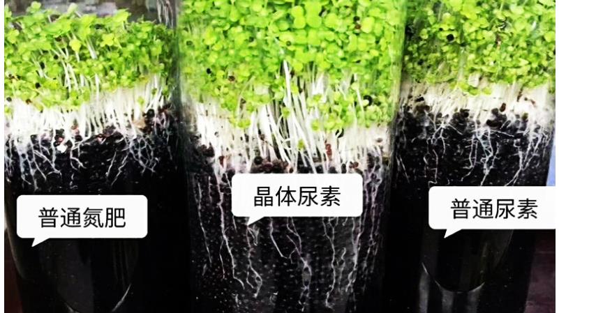 ����ֱ�����غ�������46.4ũ�û���׷�ʵ��ʳ��ڼ�ȫˮ�ܾ�������