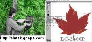 LC-2400P����Ҷ�������Ŀǰ�������Ҷ�����רҵ������֮һ��������Ұ�⡢ʵ���ҵȲ�ͬ���ϵ�ʹ�á��ɷ���Ҷ����Ȳ�ͬҶ�Ӳ�����ֲ��Ҷ���ܵ�����в�ȡ������������ƻ���λ��רҵ������