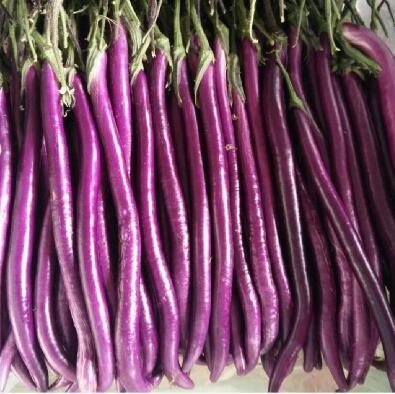 �ٹ����������Ӫ���ೣ�����߲����磬�Ϲ��磬Ҷ�����߲��硣�紺��Խ�ġ����ӡ�Խ����ֲ���߲�����������磬�������硢�ƹ��硢�����硢���������ҳ�����Ҫ����Ʒ�࣬�����硢�˻��硢���������Ҷ�������Ӽ��������磬�����硢����綼���紺Խ�Ĵ���Ʒ�ࡣ