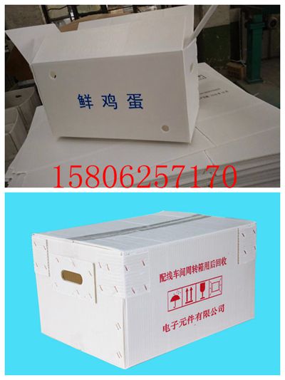 钙塑板 钙塑板箱 pp pe pvc