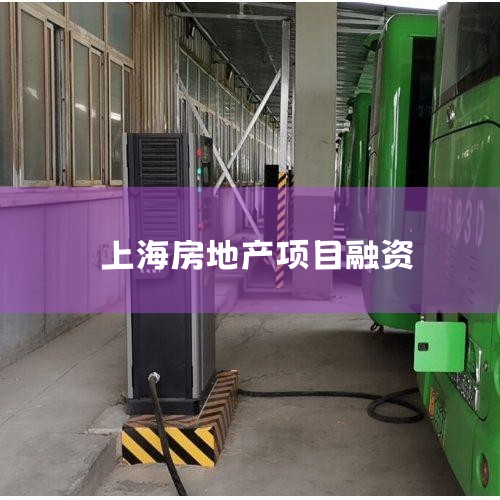 �ⲿ�����ֿ��Է�Ϊֱ�����ʺͼ�����ʡ�ֱ��������Ҫ�Ǵ��ʱ��г���õ��ʽ���Ҫ���㳤��Ͷ�ʵ��ʽ����󣬰����������ʡ�ծȯ���ʡ����ز�Ͷ�ʻ��𡢷��ز����еȶ������ʷ�ʽ�����������Ҫ�Ǵӽ��ڻ�����õ���