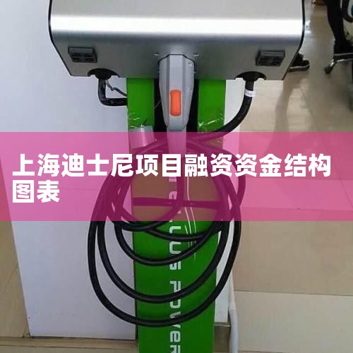 上海迪士尼项目融资.ppt - 淘豆网,上海迪斯尼乐园项目融资案例共18页 - 百度文库_中国数字文创行业战略规划及投资前景咨询报告2023_看完这份财报,你才