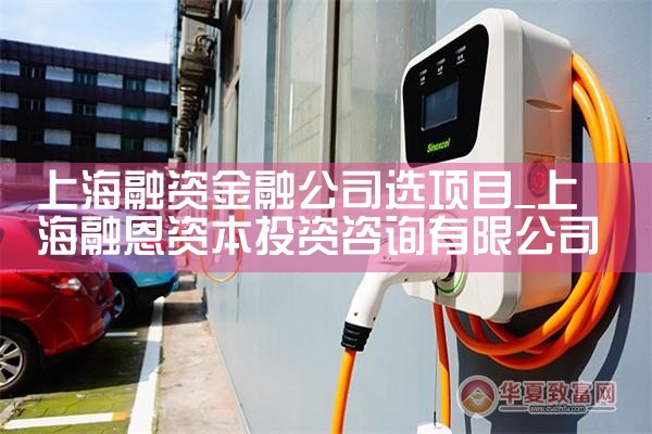 上海融资金融公司选项目