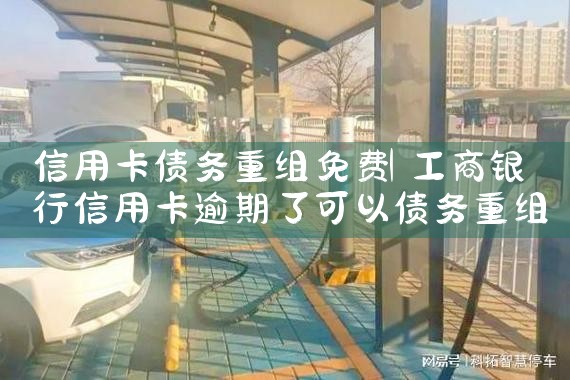 上海项目融资案例