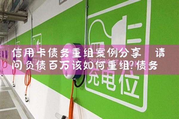 ���ÿ�ծ�����鰸������