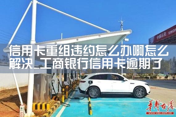 上海地铁项目融资方案公示时间