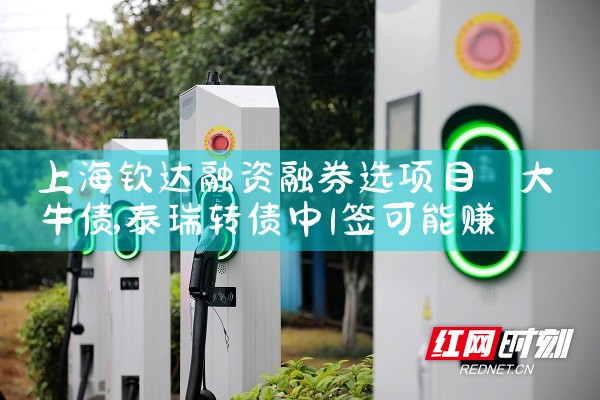 �Ϻ��մ�������ȯѡ��Ŀ