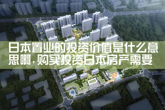 �ձ���ҵ��Ͷ�ʼ�ֵ��ʲô��˼��|�ձ�����