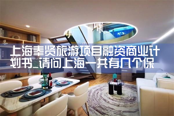 上海奉贤旅游项目融资商业计划书