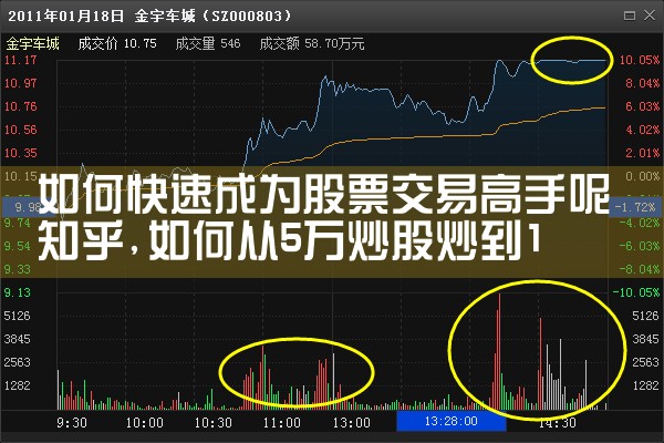 股票交易高手的聚集地|小牛股