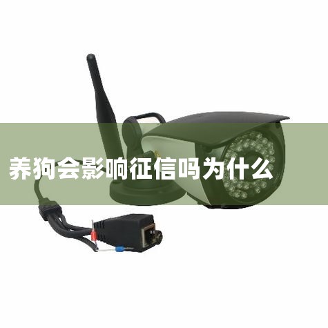 ����֮��,���������ٶ��ᷢ��һЩ�ı�Ŷ.������˵˵����֮���һЩ�仯,����ļ�������������������Ŷ,������Ҳ�Ӳ�����!��һ��Խ��Խ�벻...|������|ծ������