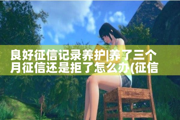良好征信记录养护|养征信|债务重组