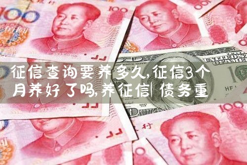 征信查询要养多久|养征信|债务重组