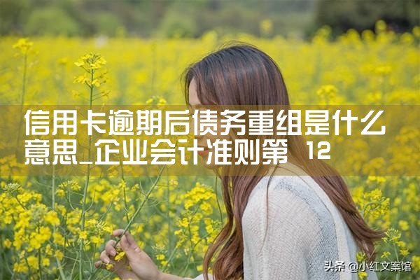 ���ÿ����ں�ծ��������ʲô��˼