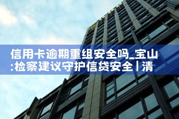 �������ÿ�ծ�����鰸������