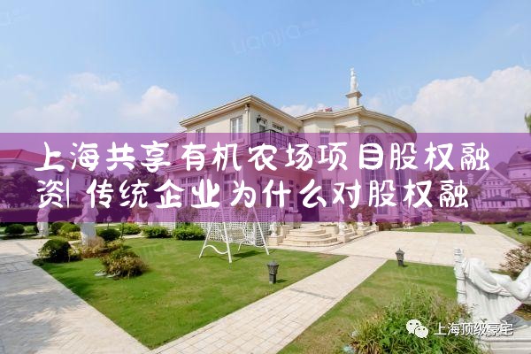 上海迪士尼乐园项目属于什么融资类型