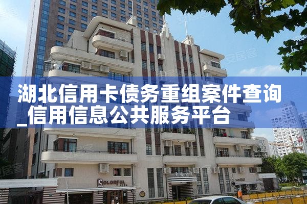 湖北信用卡债务重组案件查询