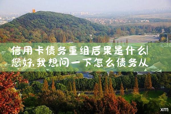 信用卡债务重组后果是什么