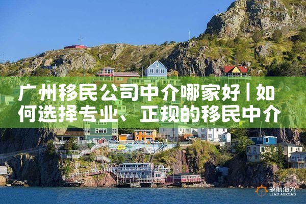 长宁美国投资移民咨询办理|美国移民