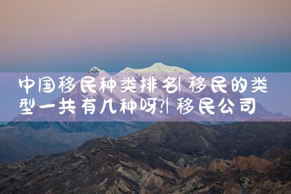 国内移民公司排名|专业移民公司