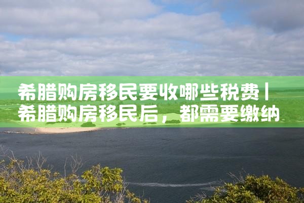 东京房地产没买房子