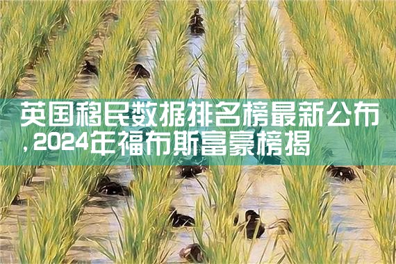 英国移民数据排名榜最新公布|移民公司