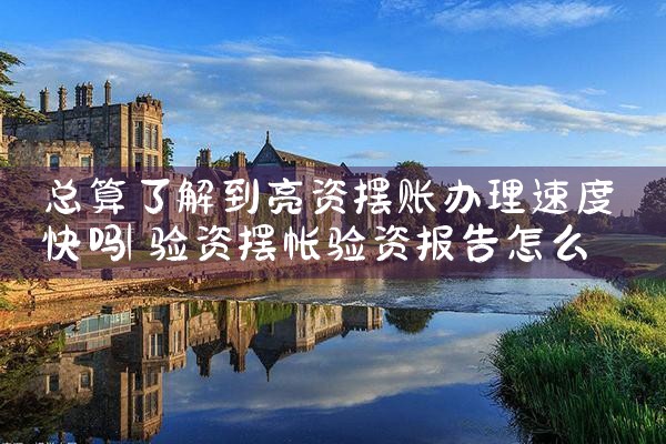 总算了解到亮资摆账办理速度快吗