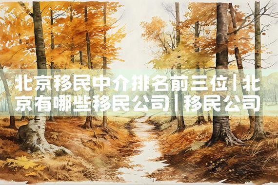 北京移民中介排名前三位|移民公司
