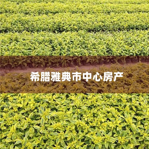 ϣزг,رŵȺĳ,½ԴϡȱսԴԡ̵ĸԼòȨ,·Ȼ...,Сţ