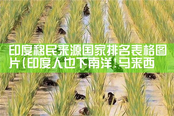 重庆正规移民哪家快递公司好排行榜|移民中介排名《今日汇总》投资移民哪家好?