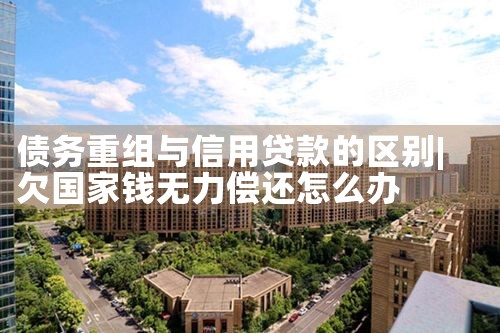 债务重组与信用贷款的区别