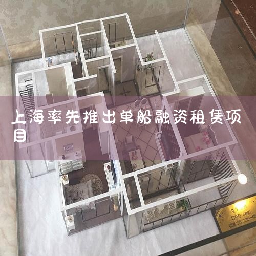 �������ҹ���������ҵ��չ���ƽϺã��������ڽ����������򣬹����ȹ����������޹�˾296�ң������Ϻ��ѳ�Ϊ�ҹ��������޻������۵���Ҫ���ġ�ֵ��ע����ǣ��ҹ���������ҵ��ҵʼ����һ������������ì���ж���ѭ