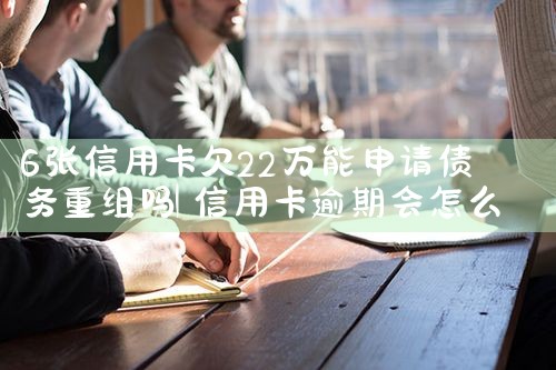 6�����ÿ�Ƿ22��������ծ��������