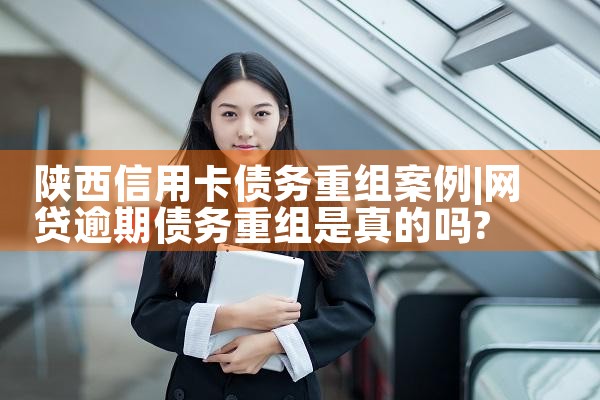 �������ÿ�ծ�����鰸��������Ϣ