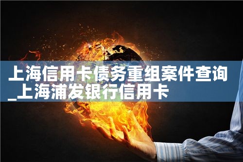 上海信用卡债务重组案件查询