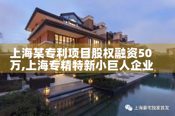 �Ϻ�ĳר����Ŀ��Ȩ����50��