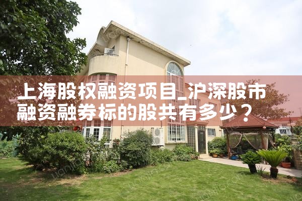 上海股权融资项目