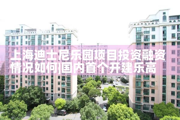 上海迪士尼乐园项目投资融资情况如何
