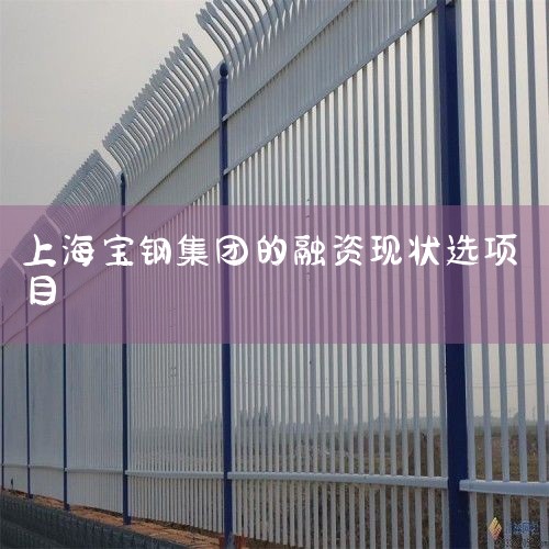 3. ɶ4000ˣ4. 3ûг֮һ5.ϺгƱй˾ɹȨøĸ6. Ʊδʵʩվʾ7. 涨ֻ