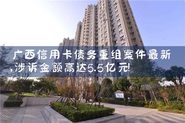 广西信用卡债务重组案件最新