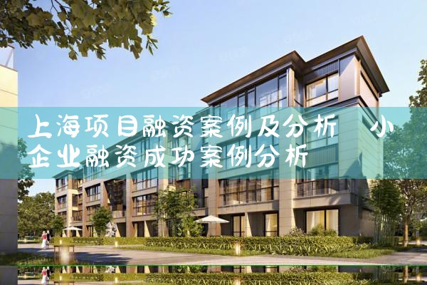 上海项目融资案例及分析