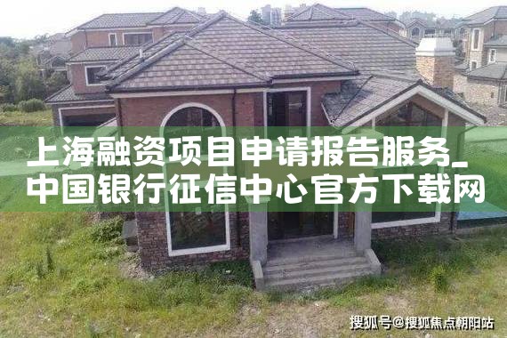 �Ϻ�������Ŀ���뱨�����