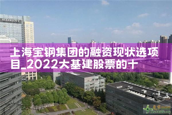 上海迪士尼项目融资市场评价