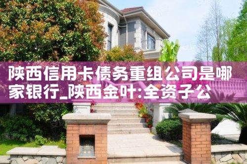 陕西信用卡债务重组公司是哪家银行