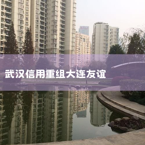 2010����2011�����人���õ���(����)�ɷ����޹�˾�ܾ�����������ϯ�Ϲ��;2011����2017��4�����人����Ͷ�ʼ��Źɷ����޹�˾�����ܲá���ϯ�Ϲ��;2016��6������������Ͷ�ʿع�(����)