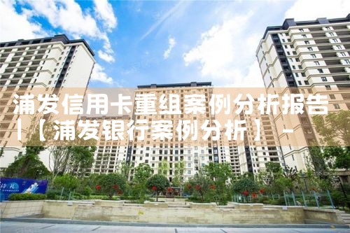 浦发信用卡重组案例分析报告