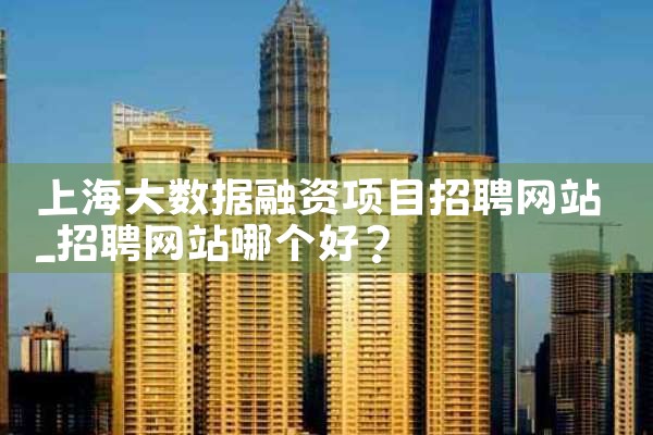 上海大数据融资项目招聘网站
