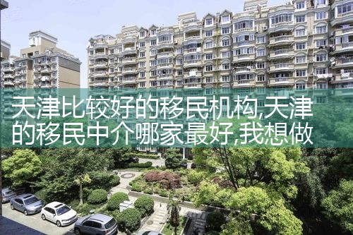 天津比较好的移民机构